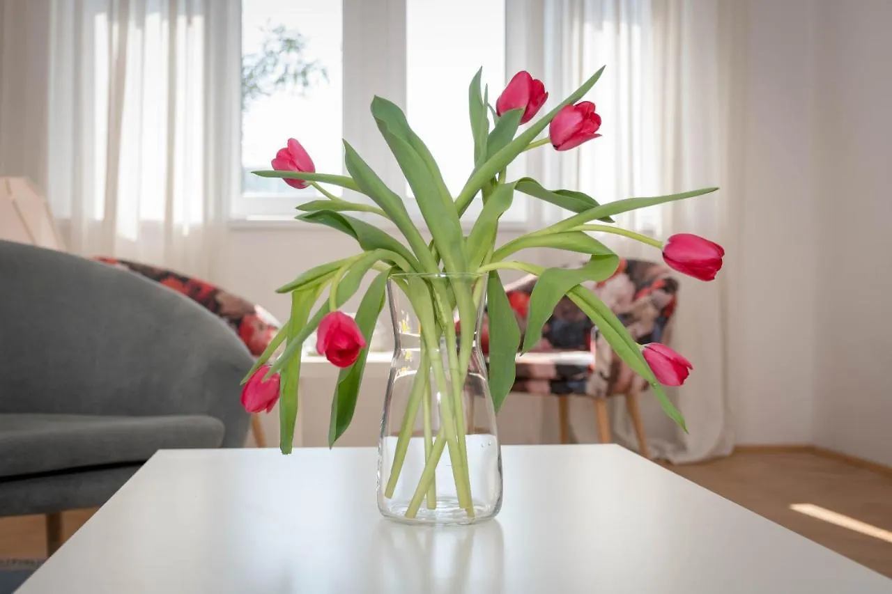 Apartment Tana Pula 0*,  Croatia
